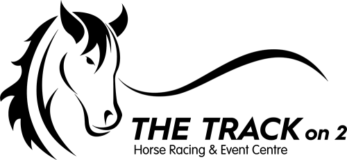 The Track on 2 Logo